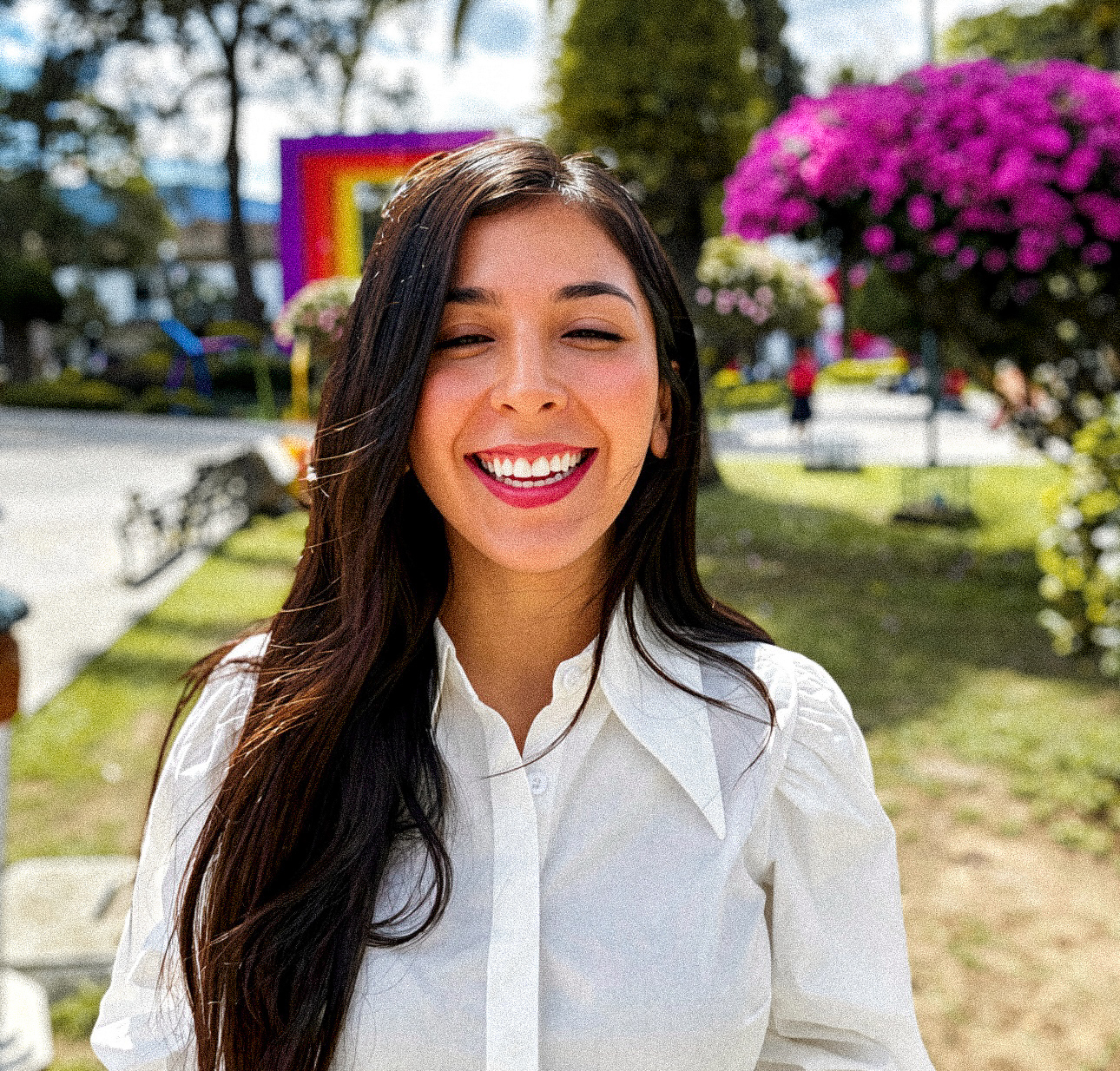Ani Rodv — Estratega de Liderazgo Intelectual
